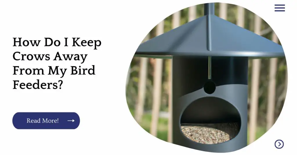 Are Birds Bad For Asthma? (Explained)