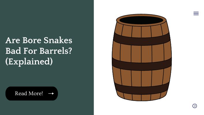 Are Bore Snakes Bad For Barrels? (Explained)