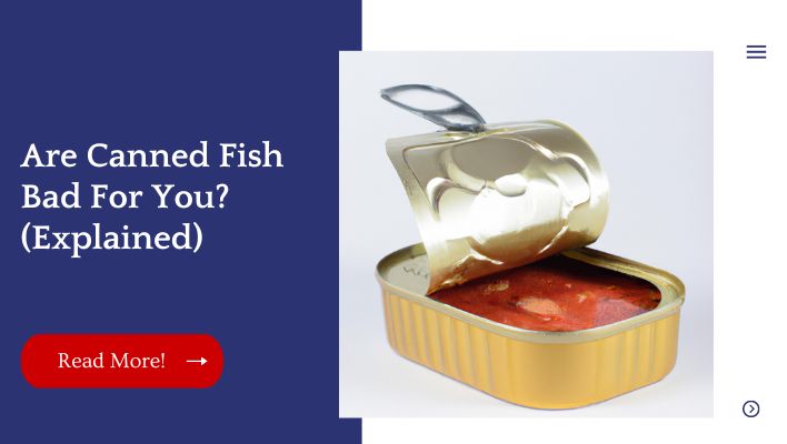 Are Canned Fish Bad For You?  (Explained)