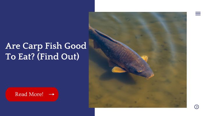 Are Carp Fish Good To Eat? (Find Out)