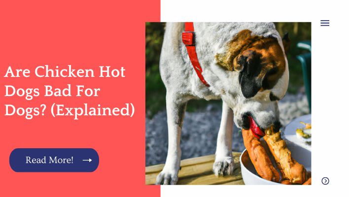 Are Chicken Hot Dogs Bad For Dogs? (Explained)