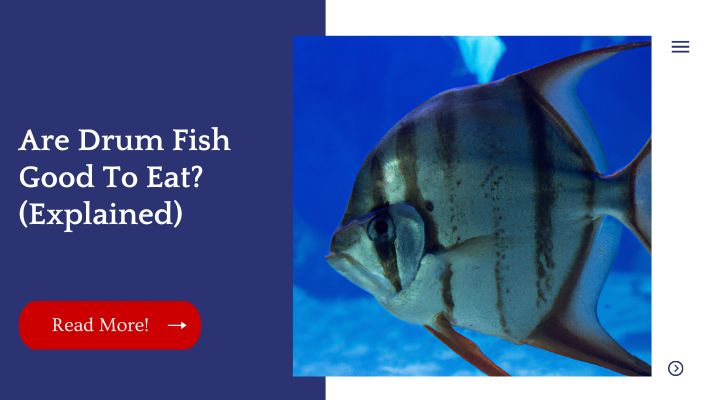 Are Drum Fish Good To Eat? (Explained)