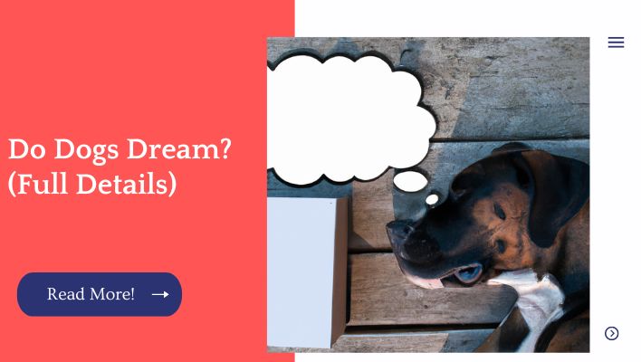 Do Dogs Dream? (Full Details)