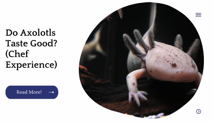 Do Axolotls Taste Good? (Chef Experience)