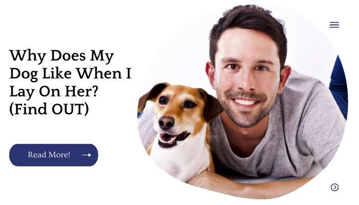 why-does-my-dog-like-when-i-lay-on-her-find-out-unified-pets