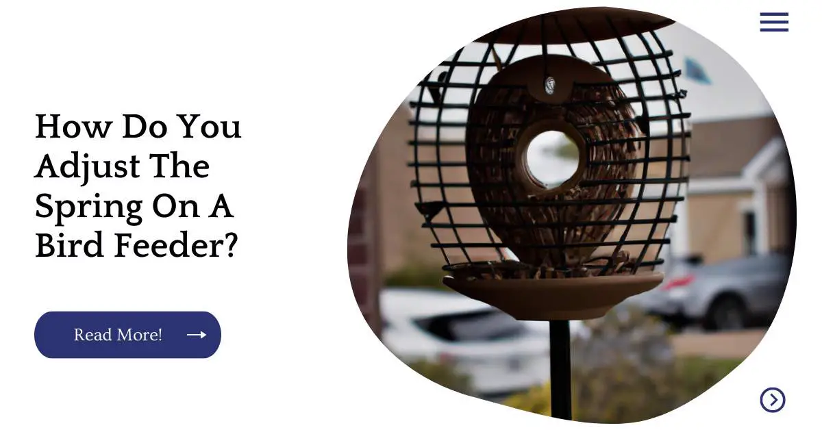 How Do You Adjust The Spring On A Bird Feeder?