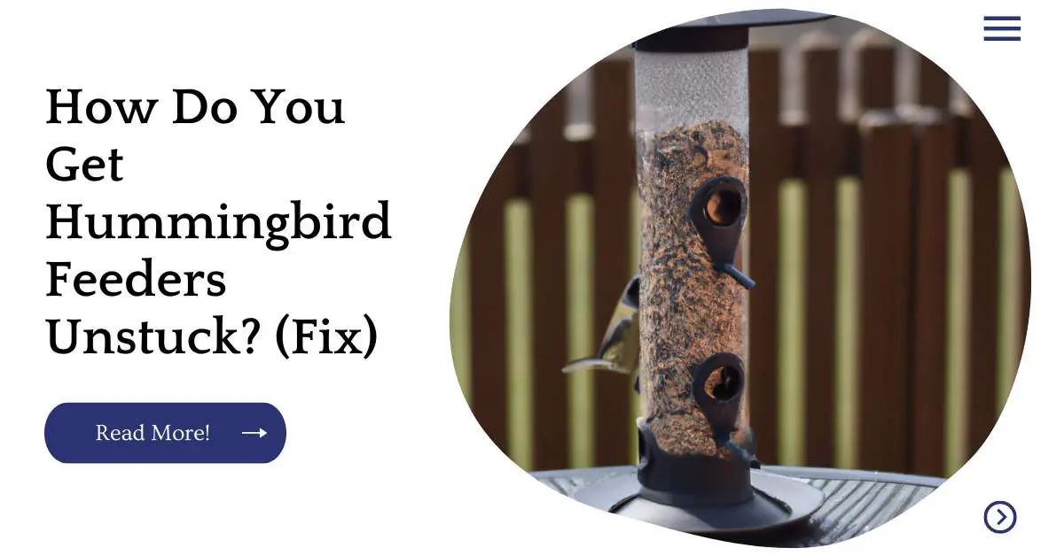 How Do You Get Hummingbird Feeders Unstuck? (Fix)