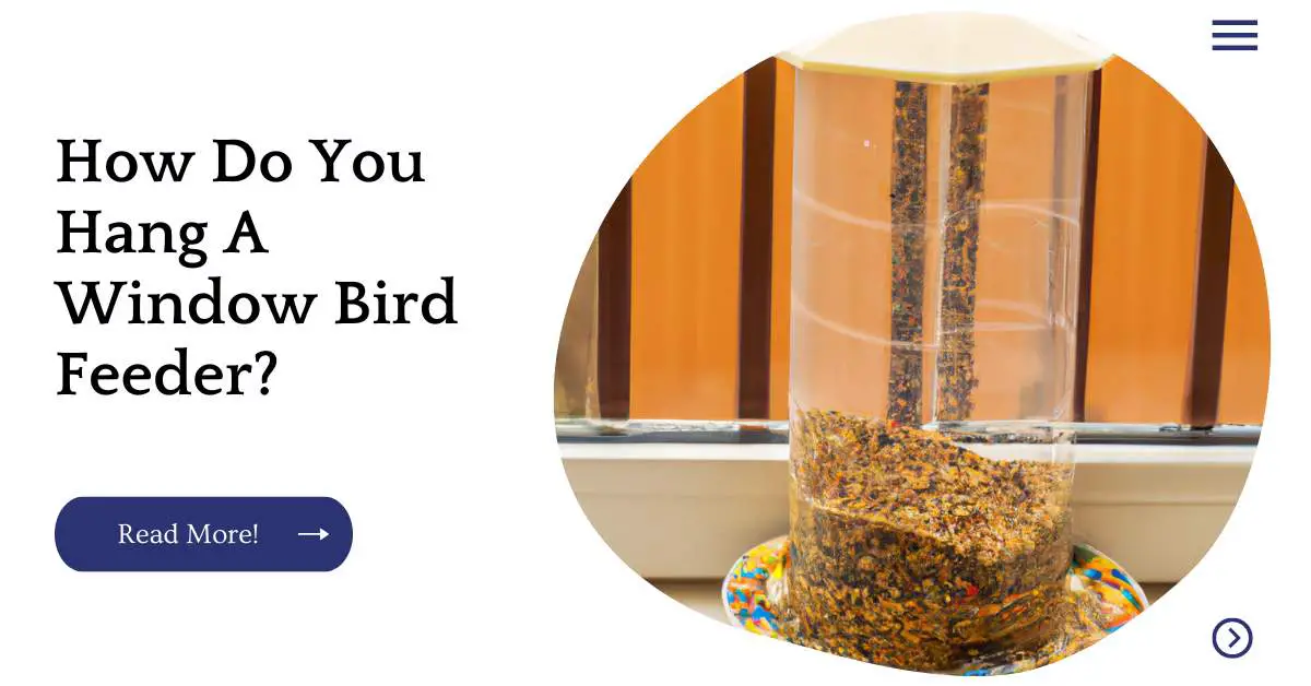 How Do You Hang A Window Bird Feeder?