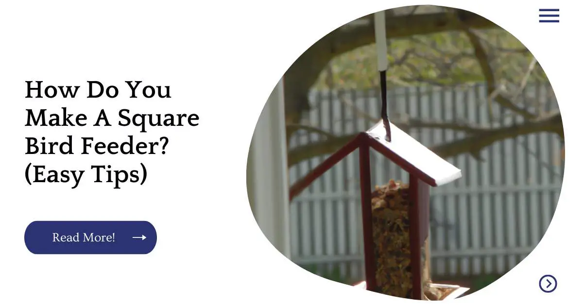 How Do You Make A Square Bird Feeder? (Easy Tips)