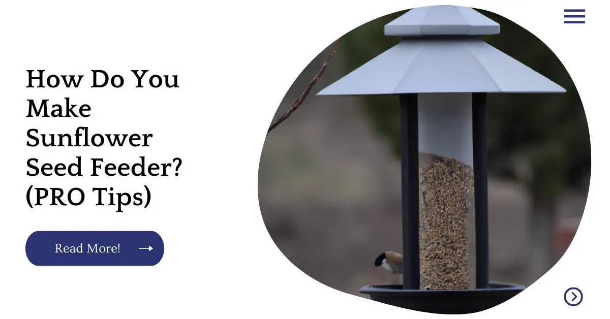 How Do You Make Sunflower Seed Feeder? (PRO Tips)