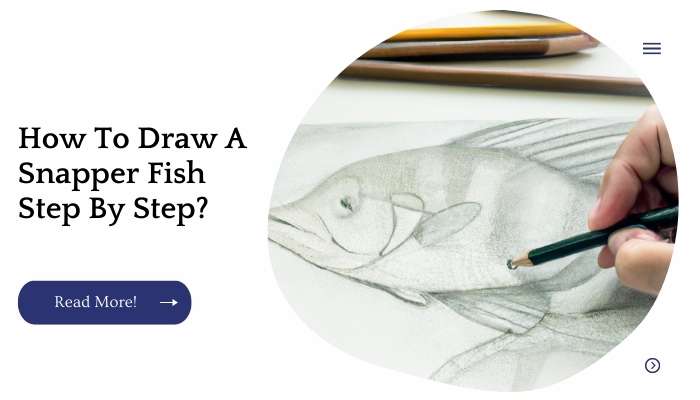 How To Draw A Snapper Fish Step By Step?