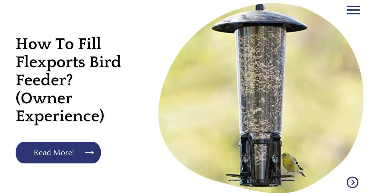 How To Fill Flexports Bird Feeder? (Owner Experience)