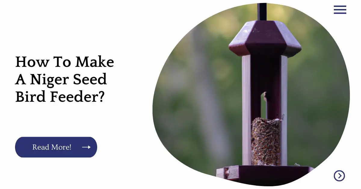 How To Make A Niger Seed Bird Feeder?