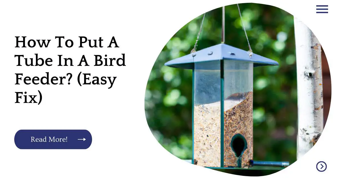 How To Put A Tube In A Bird Feeder? (Easy Fix)