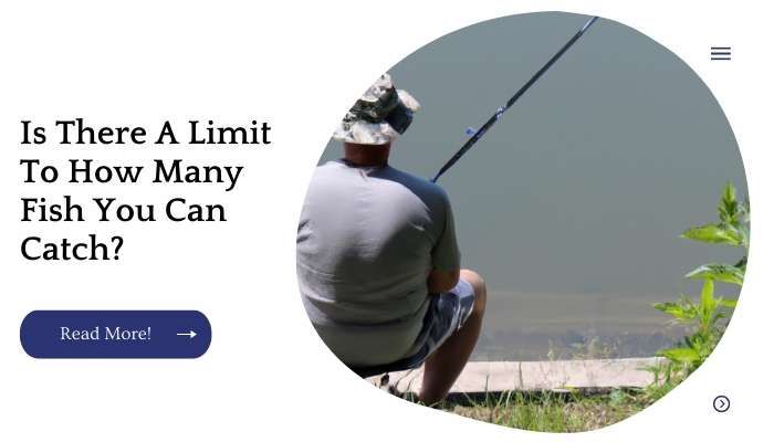 Is There A Limit To How Many Fish You Can Catch?