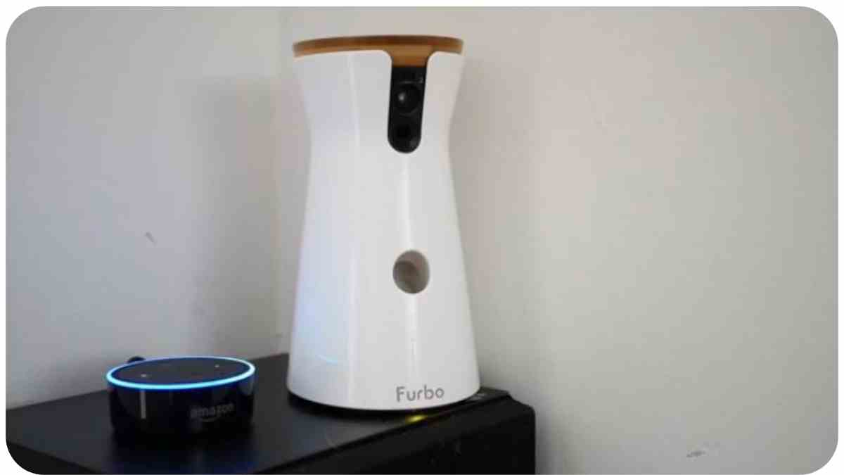 How to Sync Your Furbo Dog Camera with Amazon Echo