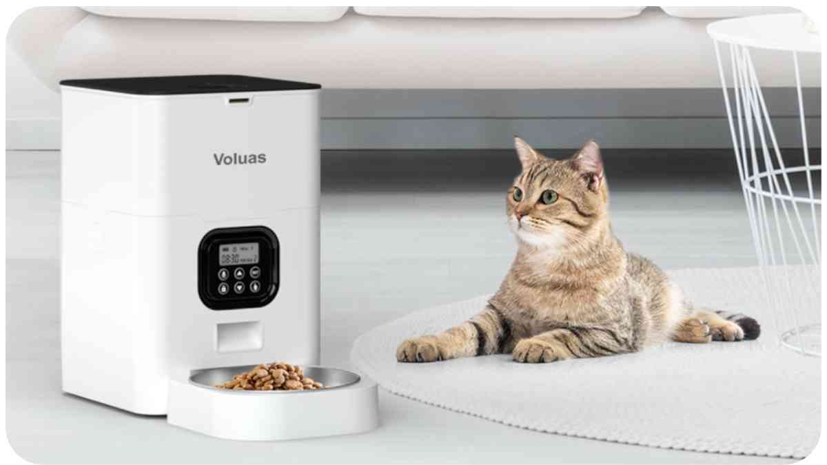 Smart Pet Feeders: Top Issues and How to Fix Them