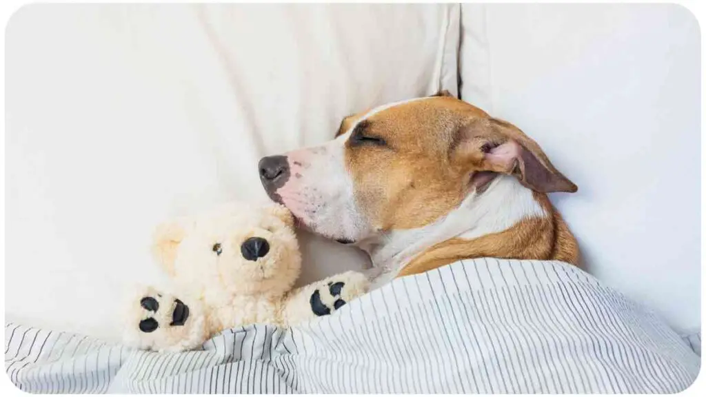 a dog sleeping in a bed with a teddy bear