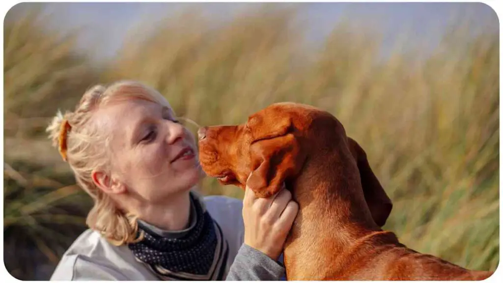 a person petting a dog