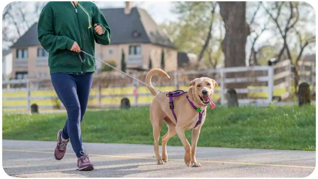 a person jogging with their dog on a leash