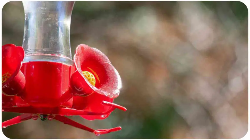 a red hummingbird feeder hanging from a tree