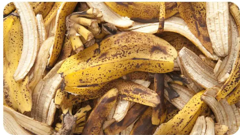 a close up of a pile of banana peels