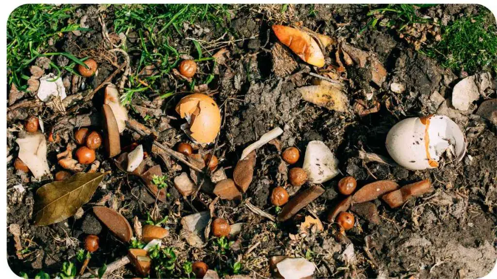 a pile of nuts and shells on the ground