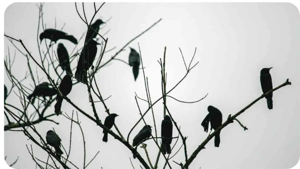 a group of birds sitting on top of a tree