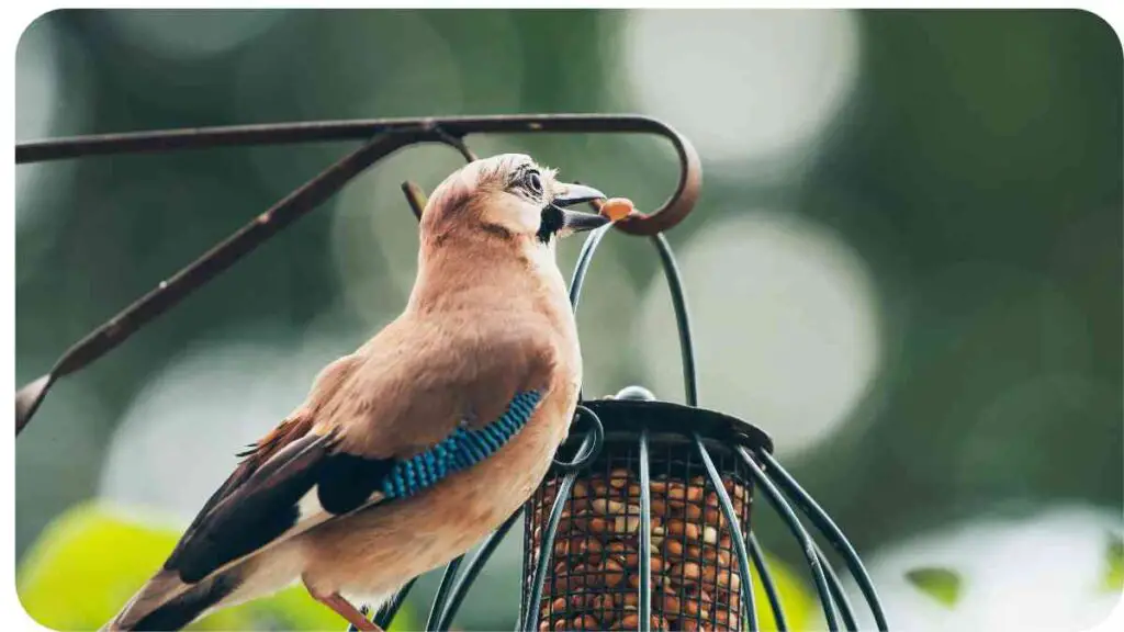 a bird sitting on top of a bird feeder