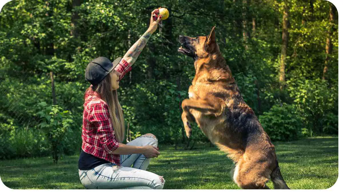 Best Ball Throwers for Active Dogs: Playful Solutions for Energetic Pups