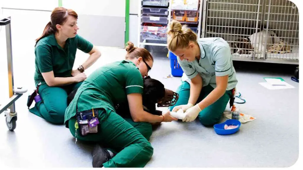 two individuals in green scrubs and one individual in blue scrubs are working on a dog