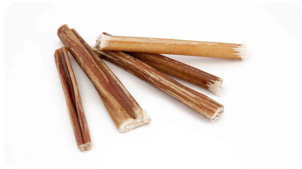 Are Twist Sticks Safe for Dogs?