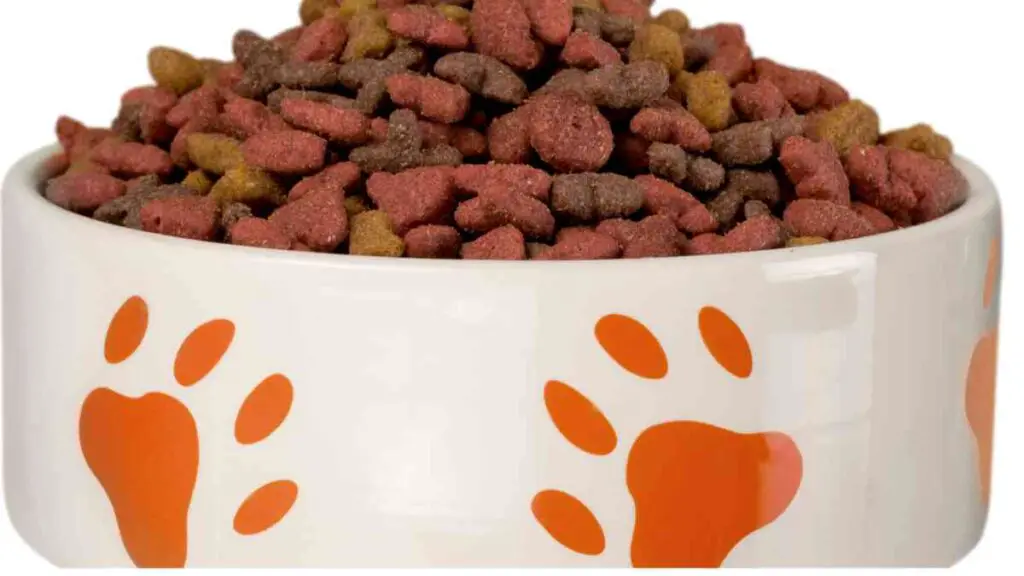 a bowl full of dog food with orange and brown paw prints