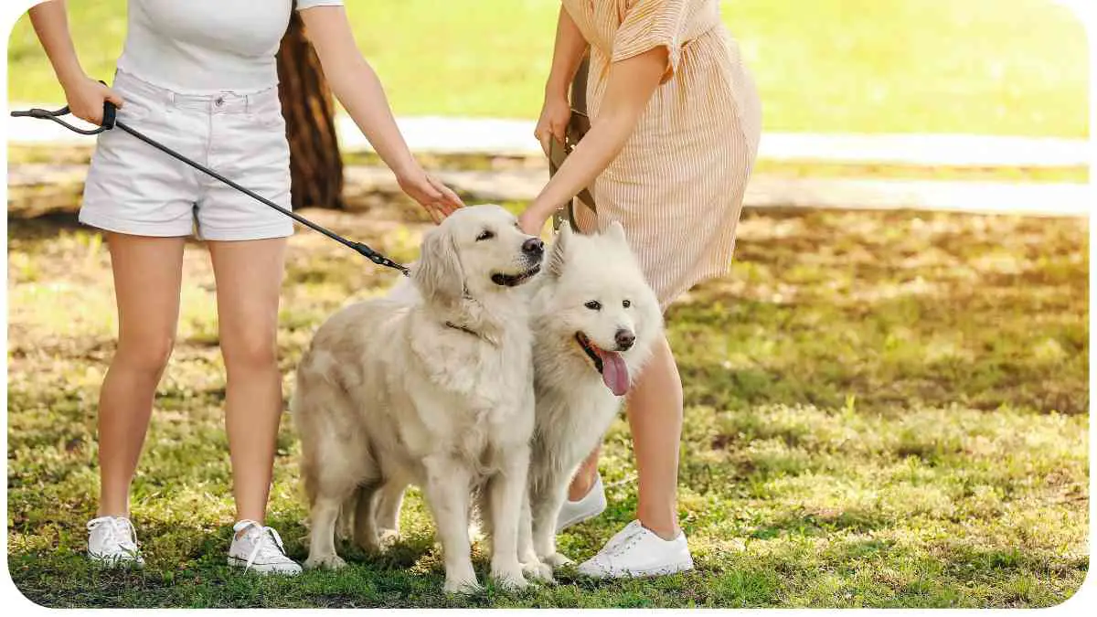 Does Parks Mall Allow Dogs?