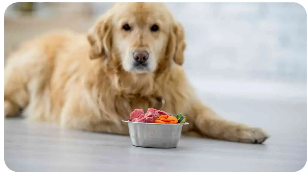 a golden retriever sitting on the floor next to a bowl of food