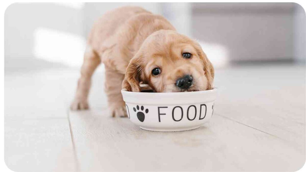 a puppy eating from a bowl with the word food written on it