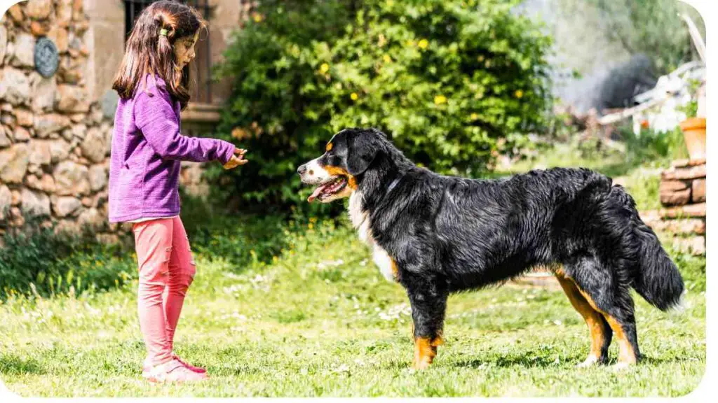 a child playing with a dog in the yard