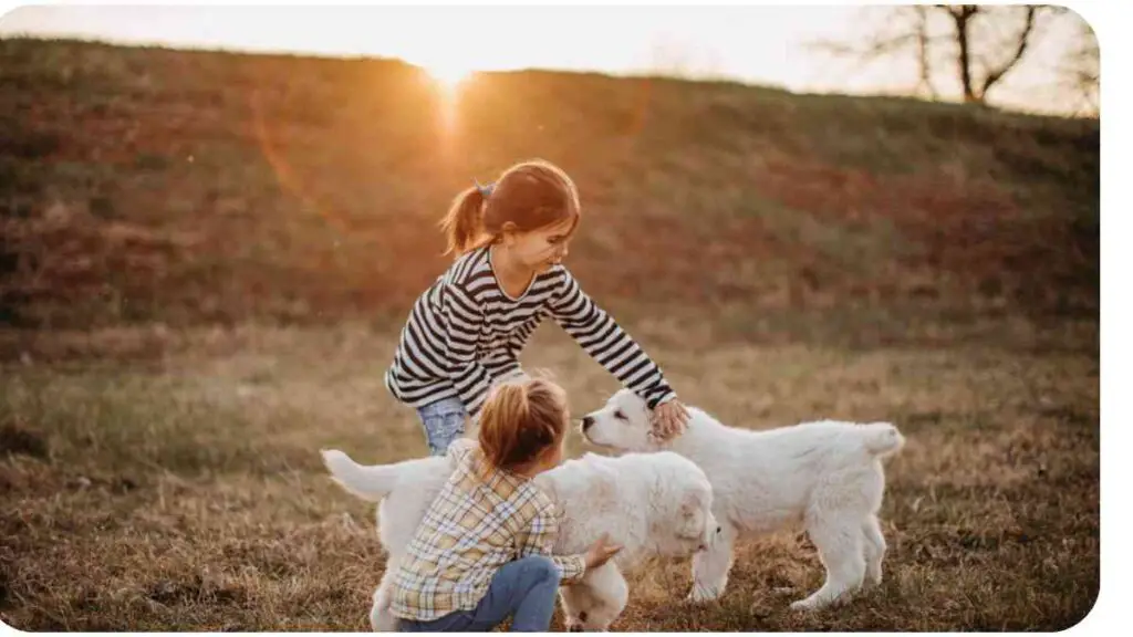 two children playing with a white dog in a field